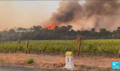 Incendies dans le Var : un personne décédée