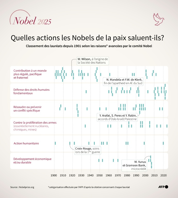 Graphique classant les lauréats des Nobels de la paix depuis 1901 en fonction du motif récompensé, selon des catégories réalisées par l'AFP sur la base du texte officiel accompagnant chaque remise de prix ( AFP / Sylvie HUSSON )