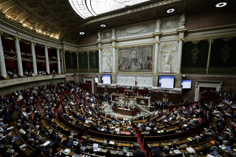 L'Assemblée nationale a voté en première lecture en faveur du "droit à l'aide à mourir" le 27 mai 2025 ( AFP / STEPHANE DE SAKUTIN )
