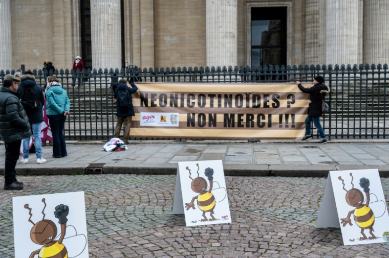 Manifestation contre la levée potentielle de l'interdiction des pesticides néonicotinoïdes tueurs d'abeilles, le 20 janvier 2023 à Paris ( AFP / BERTRAND GUAY )