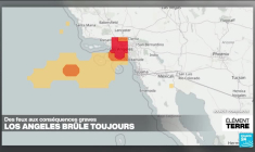 Les feux de Los Angeles: des conséquences pour l'environnement et la santé