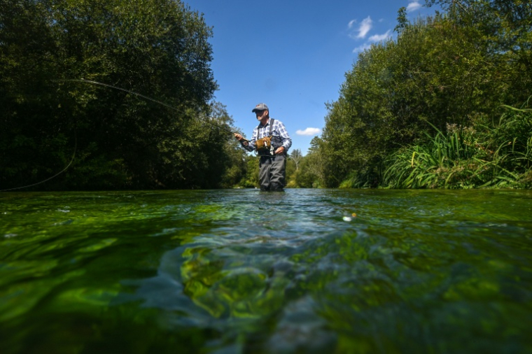 Bob Wellard, directeur de la Piscatorial Society, pêche à la mouche le 25 août 2026 dans la rivière Itchen, en Angleterre ( AFP / Justin TALLIS )