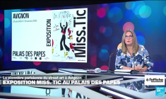 Yungblud et Flavia Coehlo aux Vieilles Charrues !