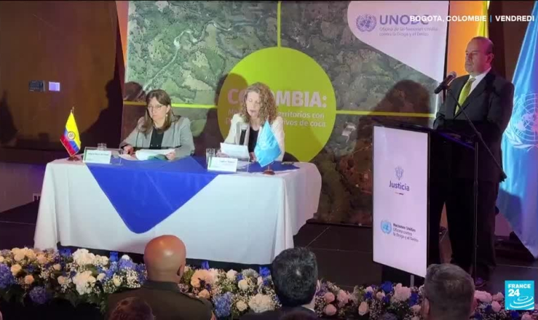 Record historique de la production de cocaïne en Colombie