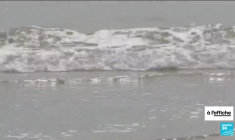 Sommet mondial de l'ONU : l’Océan, source d’art et cri d’alerte !