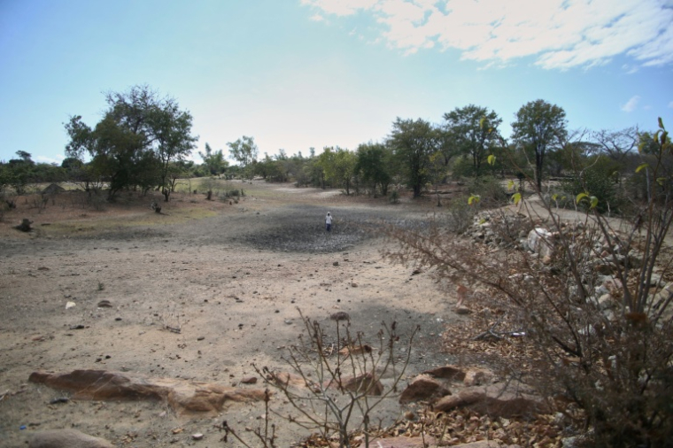 Sécheresse à Mudzi, au Zimbabwe, le 2 juillet 2024, lors d'un précédent épisode El Niño ( AFP / Jekesai NJIKIZANA )