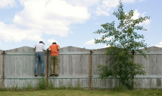 Un conflit de voisinage éclate autour d'une rénovation de façade, opposant transparence des fenêtres et respect de l'intimité. (Crédit photo : Shutterstock)