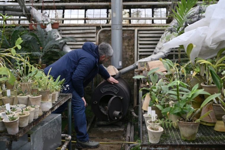 Le docteur en sciences biologiques Roman Ivannikov, chef du département des plantes tropicales et subtropicales du jardin botanique national Gryshko de l'Académie nationale des sciences d'Ukraine, inspecte un poêle à bois dans la serre du jardin à Kiev le 11 février 2026 ( AFP / Genya SAVILOV )