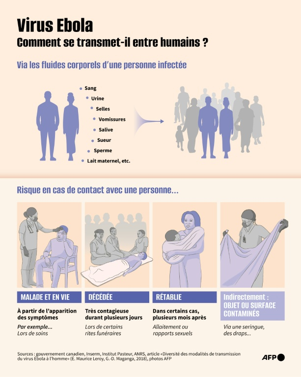 Présentation des modes de transmission entre humains du virus Ebola, qui peut aussi être transmis des animaux aux humains ( AFP / Nalini LEPETIT-CHELLA )