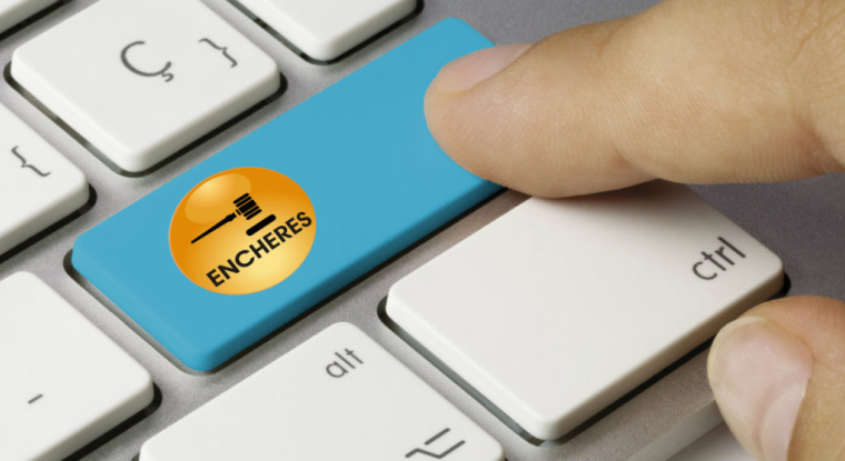 Pour les ventes en direct, vous vous connectez quelques minutes avant la vente, puis une fois le lot que vous convoitez en scène vous enchérissez. (DR)