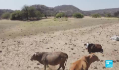 Namibie : en 1904, le génocide des Héréros