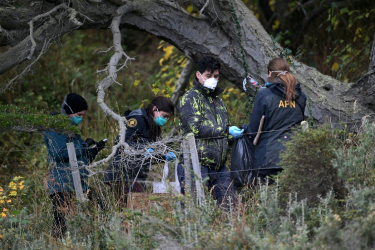 Des scientifiques récupèrent des rongeurs piégés près d'Ushuaia, en Argentine, le 18 mai 2026 ( AFP / JUAN MABROMATA )