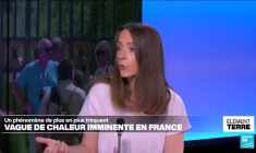 Vague de chaleur en France : les enfants en première ligne
