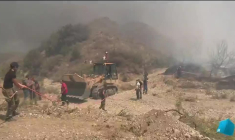 La Grèce toujours écrasée sous une chaleur caniculaire, aux prises avec des incendies