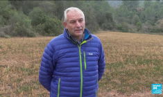 Météo : vague de douceur sur le sud de l'Europe