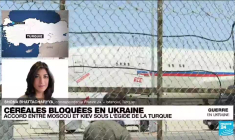 Céréales bloquées en Ukraine : la signature de l'accord entre Kiev et Moscou est imminente