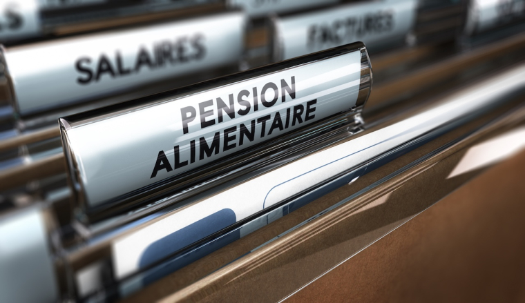 Quels sont les plafonds de déductibilité 2025 des pensions alimentaires ? ( Crédits photo : ©  Olivier Le Moal - stock.adobe.com)