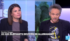 Botswana : 20 000 éléphants envoyés en Allemagne ?