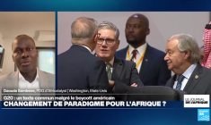 G20 historique en Afrique du Sud: un changement de paradigme pour le continent ?