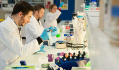 Ce lundi 11 juin, l'action Genomic Vision prenait près de 14% à la mi-journée. (© Genomic Vision)
