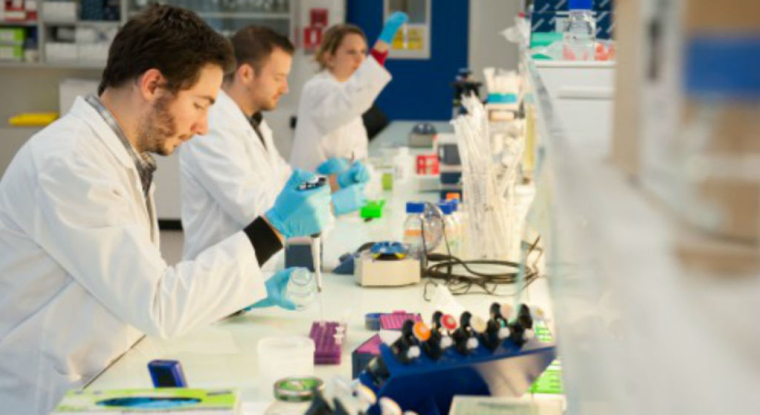 Ce lundi 11 juin, l'action Genomic Vision prenait près de 14% à la mi-journée. (© Genomic Vision)