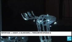 Illuminations de Noël : en Alsace, la maison au 50 000 Leds