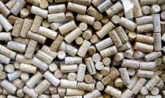 L'OPA sur Oeneo court jusqu'au 19 février. (© Oeneo)