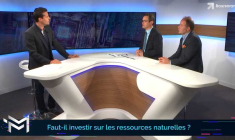 Faut-il investir sur les ressources naturelles ?