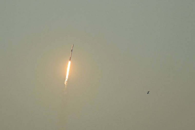 Une fusée Falcon 9 de SpaceX, à Cocoa Beach, en Floride, le 27 février 2023.  ( AFP / CHANDAN KHANNA )
