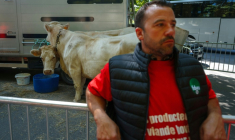Militant de la Fédération nationale bovine, près de l'ambassade du Brésil à Paris le 29 juillet 2025. ( AFP / Dimitar DILKOFF )