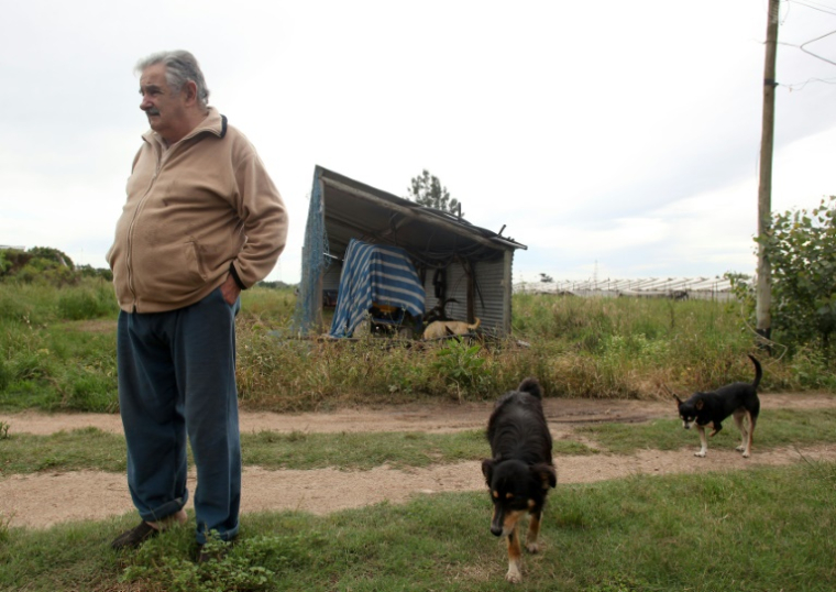 José Mujica dans sa ferme à Rincon del Cerro, près de Montevideo, le 27 novembre 2009 ( AFP / PABLO BIELLI )