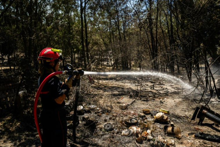 Un pompier lutte avec un incendie, à Ille-sur-Têt, le 6 juillet 2026 ( AFP / Jean-Christophe MILHET )