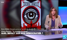 Gloria Origgi : "l'affaire Epstein va favoriser les partis populistes, critiques des élites"