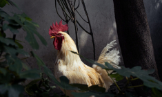 (Crédits photo : Unsplash - Iñaki G. Vázquez )