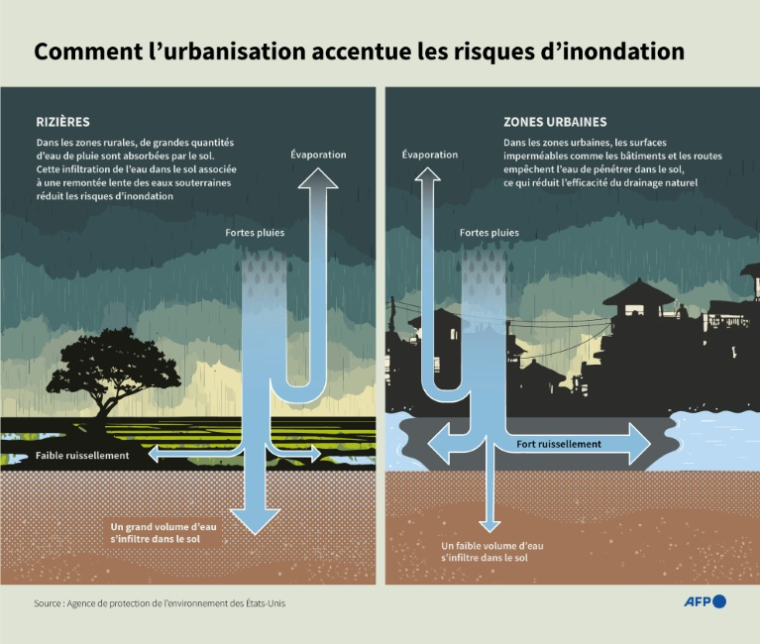Comment l'urbanisation accentue les risques d'inondation ( AFP / Nicholas SHEARMAN )