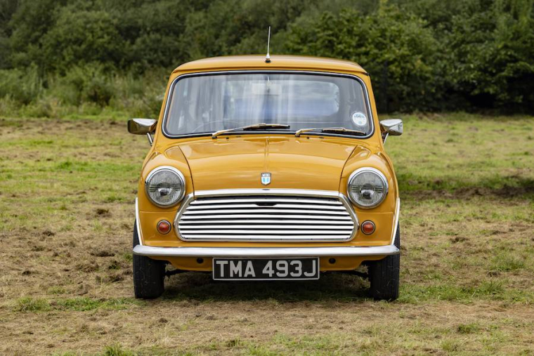 Des investissements insolites à ne pas négliger-iStock-Ray Orton.jpg