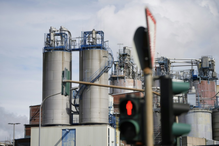 Une usine du groupe allemand Evonik à Wesseling (ouest) ( AFP / PAU BARRENA )