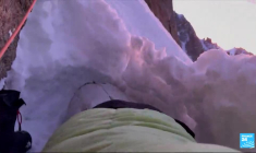 De la viande artificielle bientôt dans nos assiettes ?