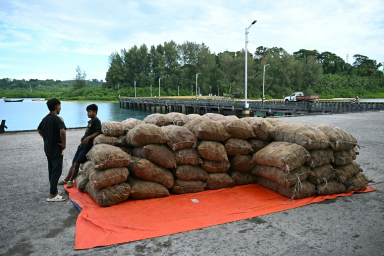 Des employés attendent de pouvoir charger de la marchandise à bord du ferry Kalighat, le 30 mars 2026 à Campbell Bay, un village du district de Nicobar dans l'archipel indien des Andaman-et-Nicobar ( AFP / R. Satish BABU )