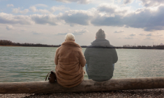 (Crédits photo: © Marina P. - stock.adobe.com)