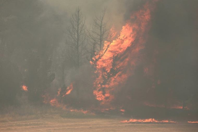 Feu de forêt près de Bet Shemesh, dans le centre d'Israël, le 30 avril 2025 ( AFP / Ahmad GHARABLI )