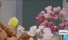 Chine-Afrique : dans la province du Hunan, des fleurs importées du Kenya