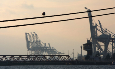 Vue du port du Havre. ( AFP / KENZO TRIBOUILLARD )