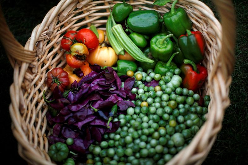 Des légumes fraîchement récoltés