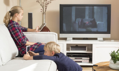 crédit photo : patat/Shutterstock / patat