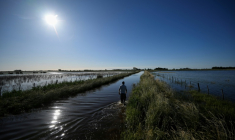 Une route inondée en raison de fortes pluies à 9 de Julio, dans la province de Buenos Aires, en Argentine, le 5 novembre 2025 ( AFP / Luis ROBAYO )