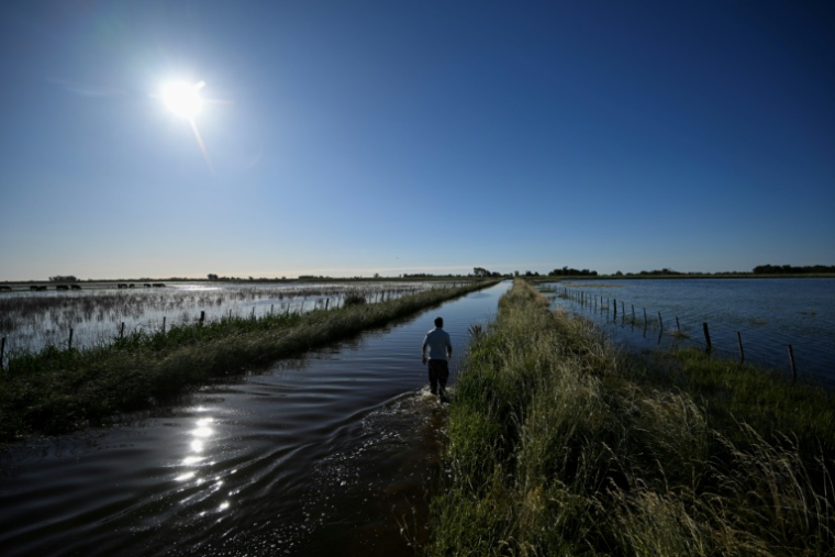 Une route inondée en raison de fortes pluies à 9 de Julio, dans la province de Buenos Aires, en Argentine, le 5 novembre 2025 ( AFP / Luis ROBAYO )