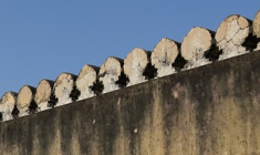 SCPI Sélectipierre 2 (Fiducial Gérance) : une politique d’arbitrage et de réinvestissement dynamique