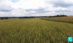 Agriculture 2.0 : ces "ageekculteurs" pour qui la technologie est l'avenir