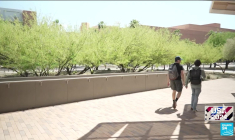 Présidentielle américaine : convaincre les indécis